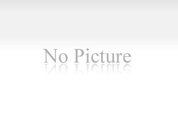 炎炎夏日送清涼，濃濃關懷沁人心 山東大正物業服務集團開展夏季“送清涼”活動